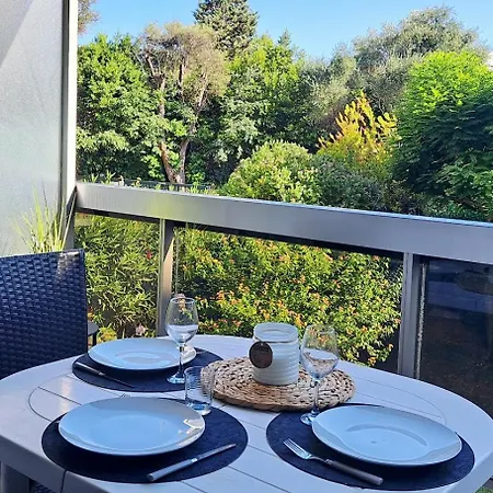 Appartement Lumineux Renove Avec Grande Terrasse Plein Sud & Piscine, Proche Plages Apartment Antibes